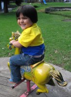 Un enfant joue sur un animal en bois.
