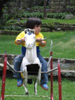 Un enfant joue sur un cheval en bois.