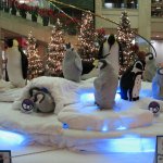 Statuts de pingouins.
