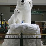 Statut d'une famille ours.
