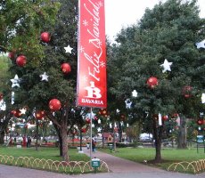 Décorations de Noël.