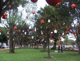 Décorations de Noël.