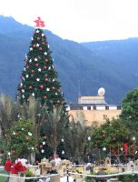 Décorations de Noël.