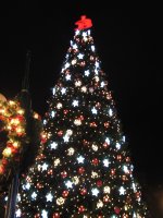 Sapin décoré de guirlandes éclairées.