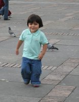 Un enfant auprès de pigeons.