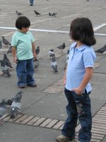 Deux enfants au milieu de pigeons.
