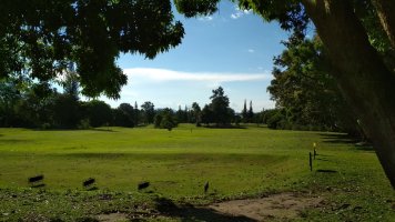 Terrain de golf.