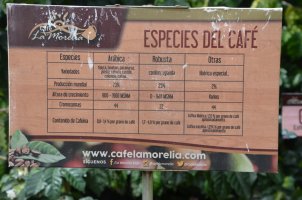 Panneau présentant les différentes espèces de café.