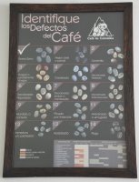 Panneau présentant les défauts des grains de café.