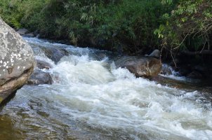 Cascade.