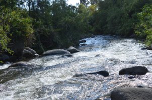 Rivière.