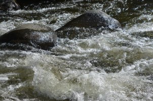 Eau et rochers dans la rivière.