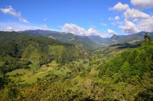 Vallée verdoyante.