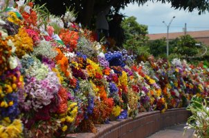 Décorations de fleurs.