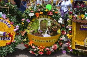 Décorations de fleurs.