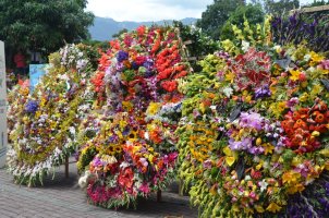 Décorations de fleurs.