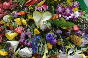 Décorations de fleurs.