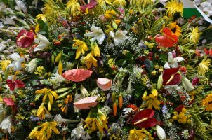 Décorations de fleurs.