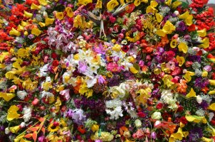 Décorations de fleurs.