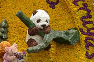 Décorations de fleurs.