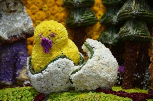 Décorations de fleurs.