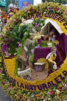 Décorations de fleurs.