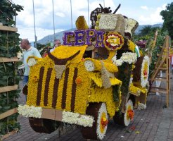 Décorations de fleurs.