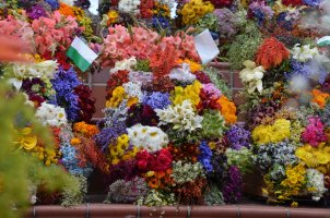 Décorations de fleurs.