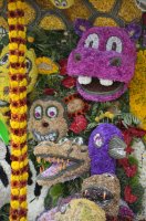 Décorations de fleurs.