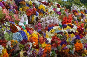 Décorations de fleurs.