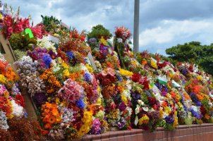 Décorations de fleurs.
