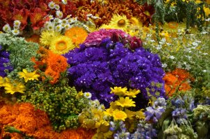 Décorations de fleurs.