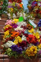 Décorations de fleurs.
