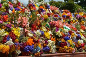 Décorations de fleurs.
