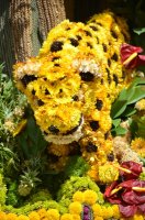 Décorations de fleurs.