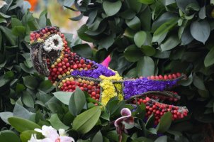 Décorations de fleurs.