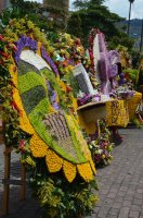 Décorations de fleurs.