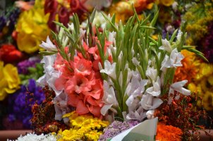 Décorations de fleurs.