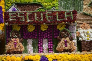 Décorations de fleurs.