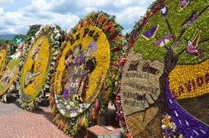Décorations de fleurs.