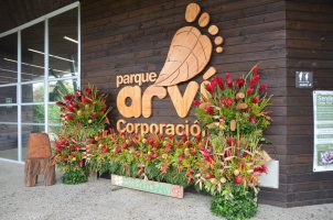Logo du parc Arvi affiché sur un mur en bois avec des fleurs présentées devant.