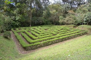 Haies en labyrinthe.