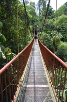 Homme traversant un pont suspendu.