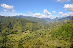 Vallée boisée.