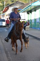 1 homme à cheval et son chien dans une rue.