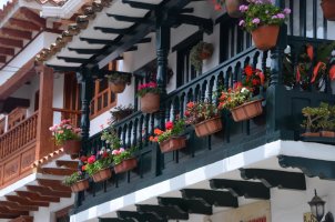Balcons fleuris de maisons.