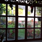 Petit jardin vu au travers de carreaux de verre.