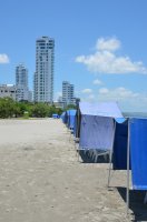 Gratte-ciels au bord de la plage, des parasols bleus alignés.