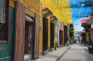rue avec des guirlandes installées de chaque côté recouvrant la rue.