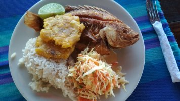 Assiette remplie de poisson, riz et légumes.